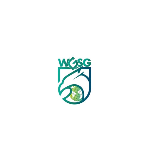 Brand-Identity-WGSG-sm_Page_02