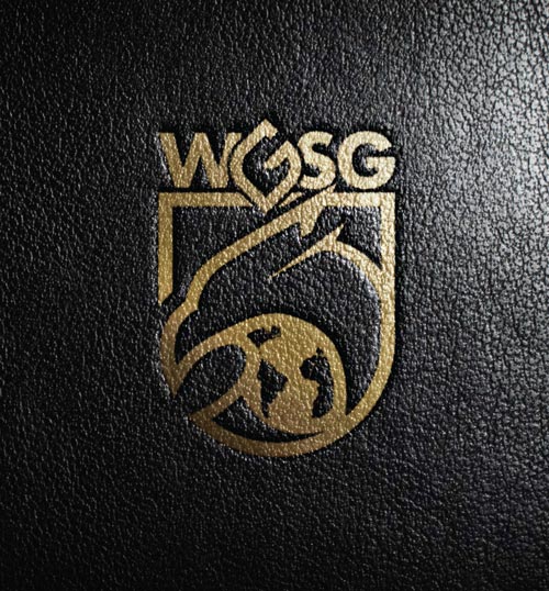 Brand-Identity-WGSG-sm_Page_05