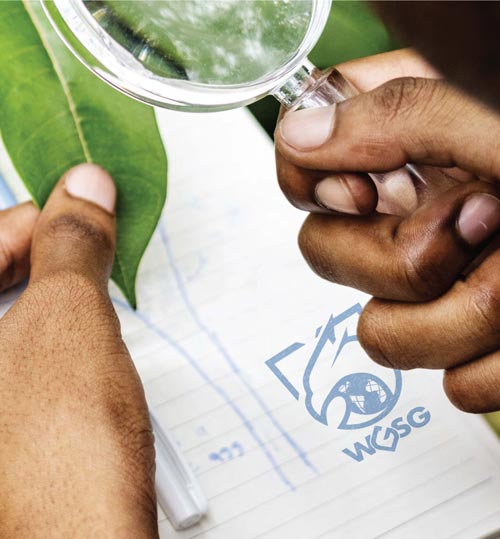 Brand-Identity-WGSG-sm_Page_08